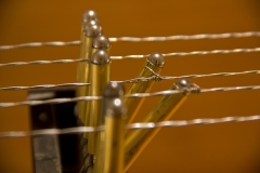 barbedwire_5